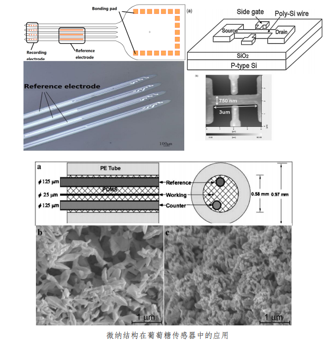 微纳米技术应用3.png